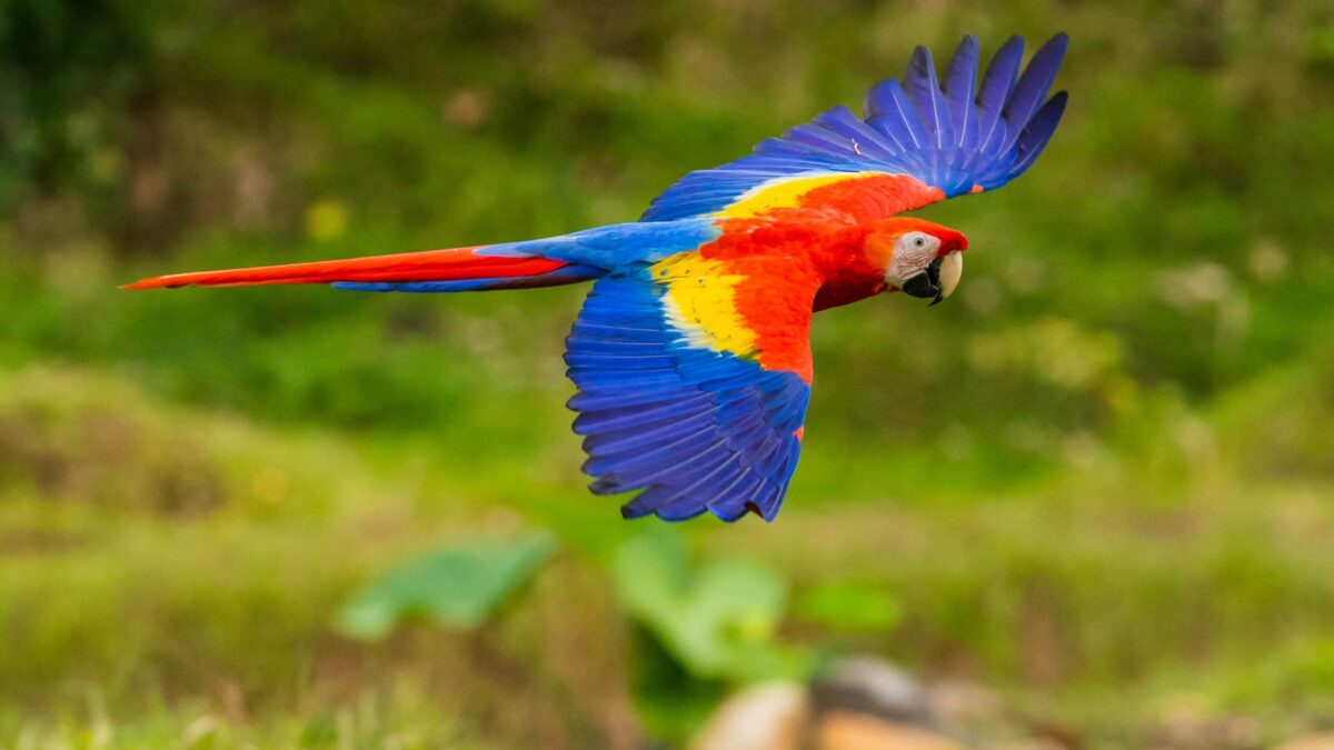 zdenek-machacek-P4n7NQNOmFU-unsplash-scaled-1200x675